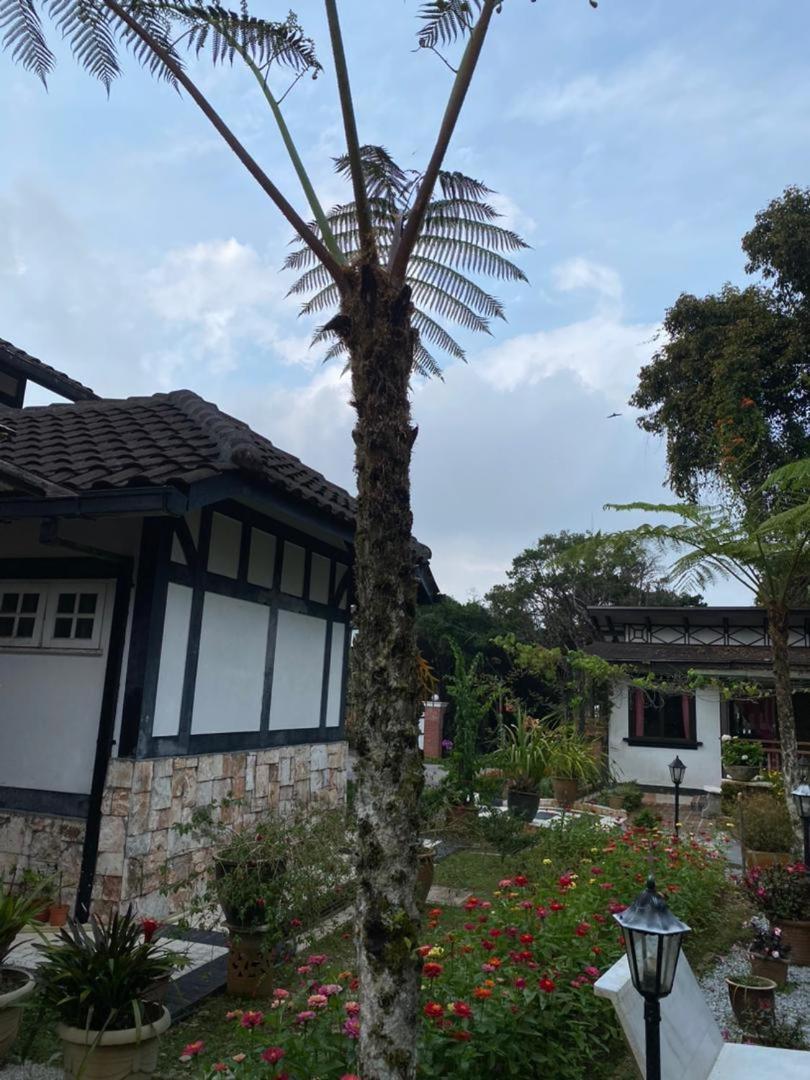 Cahaya Villa Tanah Rata Exterior photo